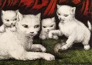 Three little white kitties